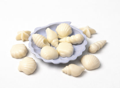 Seashells